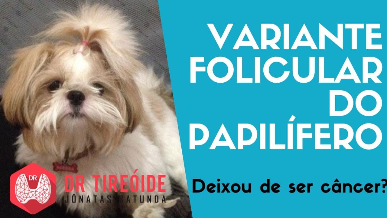 Variante folicular - Deixou de ser câncer? - Dr Tireóide Responde
