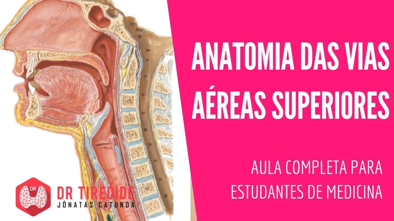 Anatomia das Vias Aéreas Superiores (nariz, faringe, laringe) - Aula para estudantes de medicina