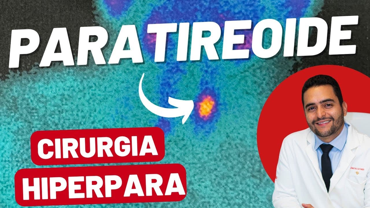 Paratireoide - o que é, doenças e tratamentos