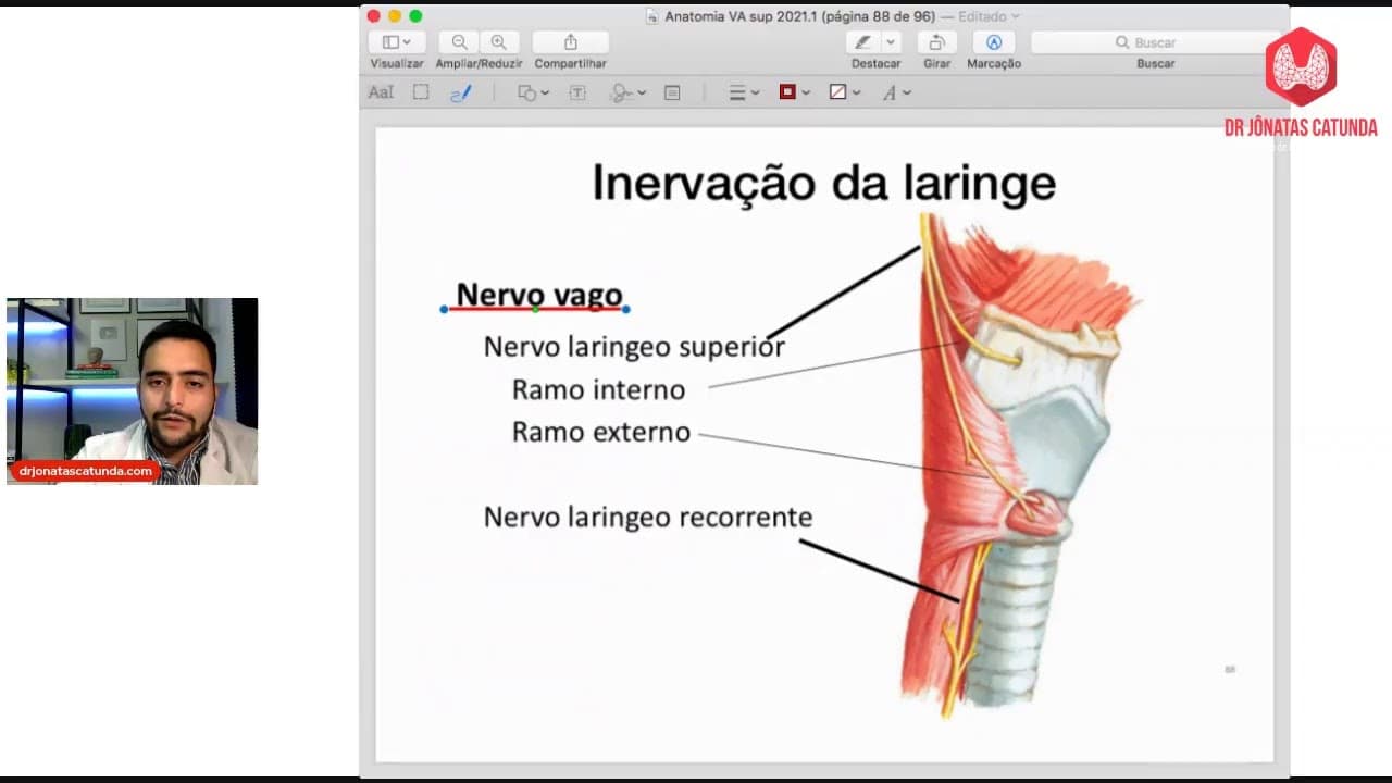 Anatomia das vias aéreas superiores - Aula ao vivo para o S3 de Medicina Unichritus