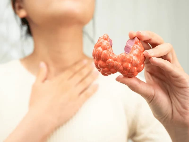 Hipotireoidismo e Hipertireoidismo: Diferenças, Sintomas e Tratamento 2026