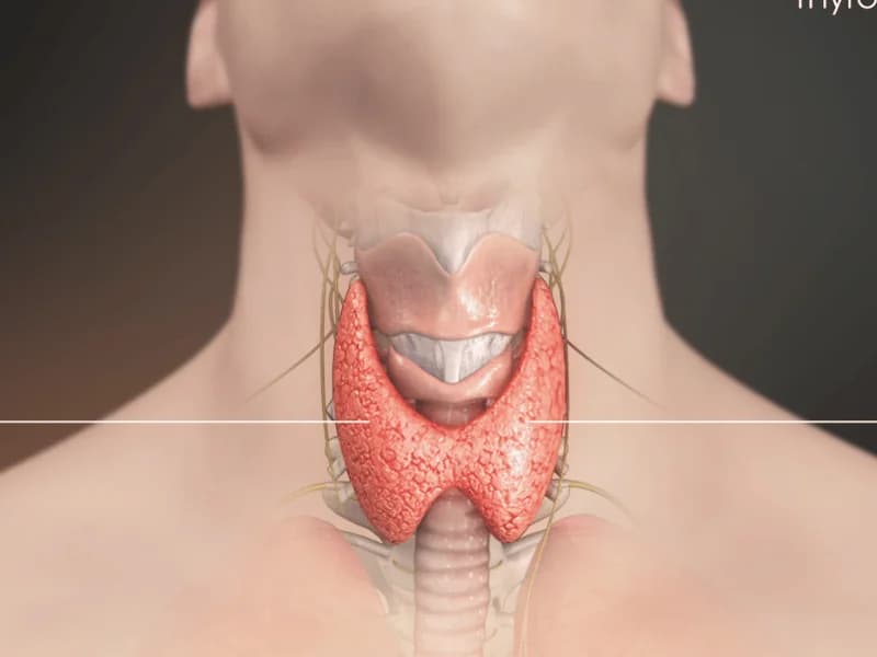 Tireoide: 10 Sintomas Mais Comuns de Hipo e Hipertireoidismo | Guia 2026