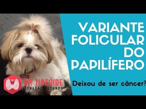 Variante folicular - Deixou de ser câncer? - Dr Tireóide Responde
