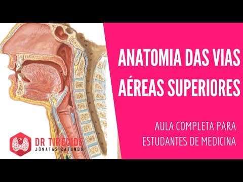Anatomia das Vias Aéreas Superiores (nariz, faringe, laringe) - Aula para estudantes de medicina