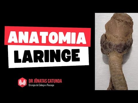 Anatomia da Laringe - Peça anatômica real