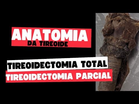 Tireoidectomia total X tireoidectomia parcial, qual é a diferença?