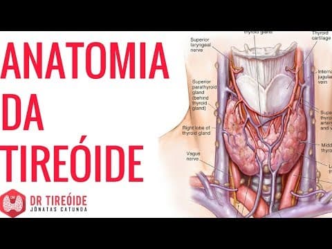 Anatomia da tireoide - Onde se localiza? | Dr Jônatas Catunda