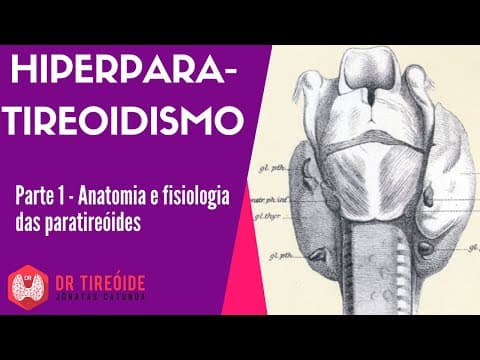 Hiperparatireoidismo parte 1 - Anatomia e fisiologia das paratireóides