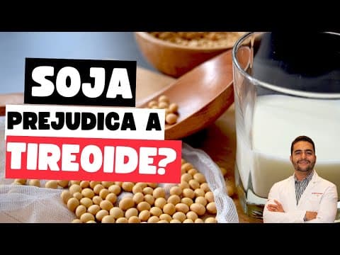Soja e Tireoide: Verdade ou Mitos? Entenda a Relação entre a Soja e o Funcionamento da Tireoide