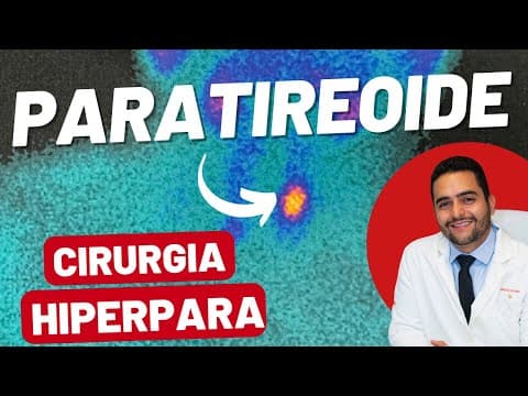 Paratireoide - o que é, doenças e tratamentos